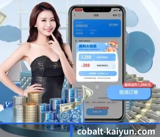 开云体育 APP - kaiyun